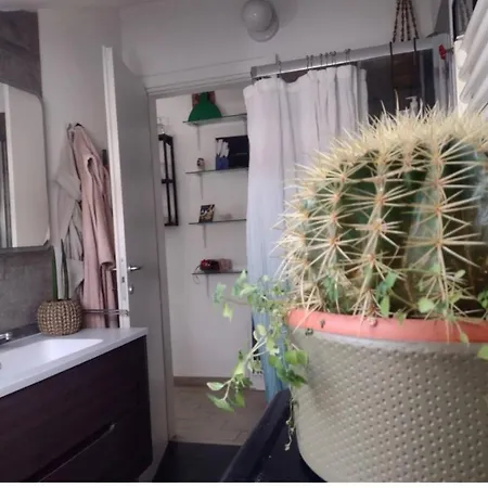 Botanical Loft
